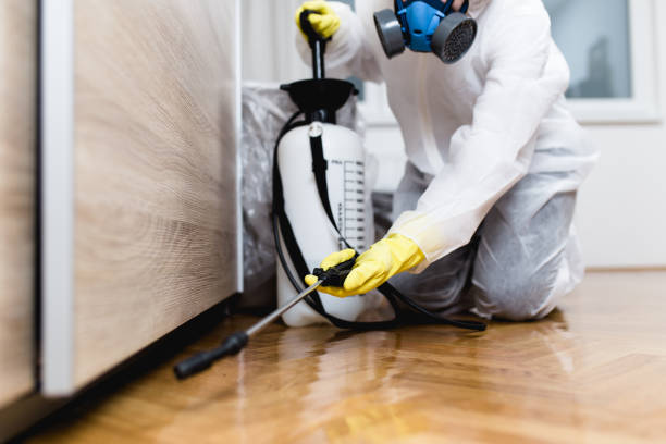 Best Mosquito Control Services  in Fairbank, IA