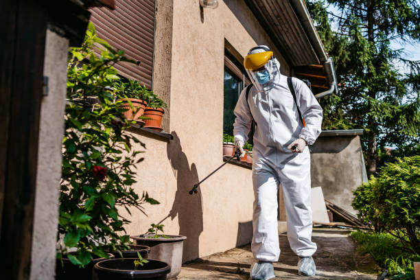 Best Wildlife Control Services  in Fairbank, IA