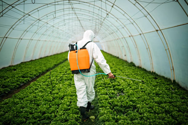 Best Residential Pest Control  in Fairbank, IA