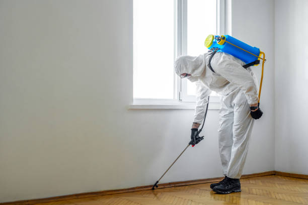 Professional Pest Control in Fairbank, IA