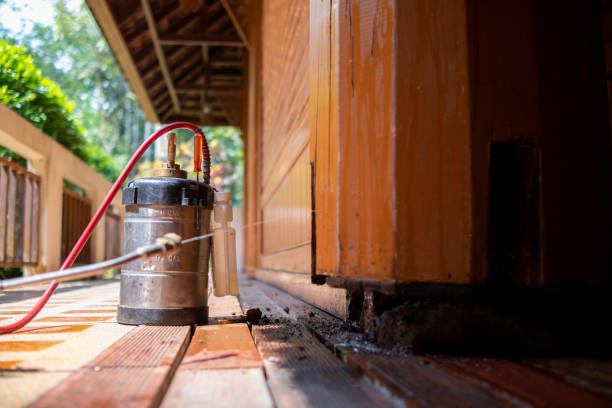 Best Pest Prevention Services  in Fairbank, IA