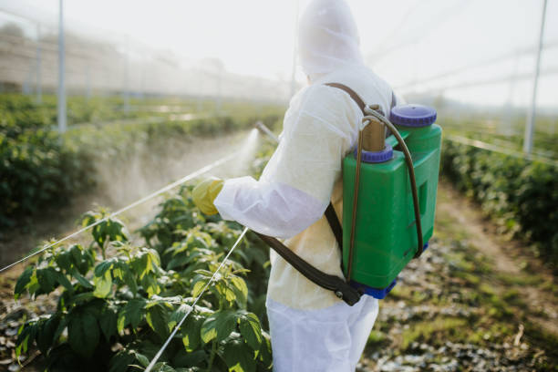 Best Residential Pest Control  in Fairbank, IA